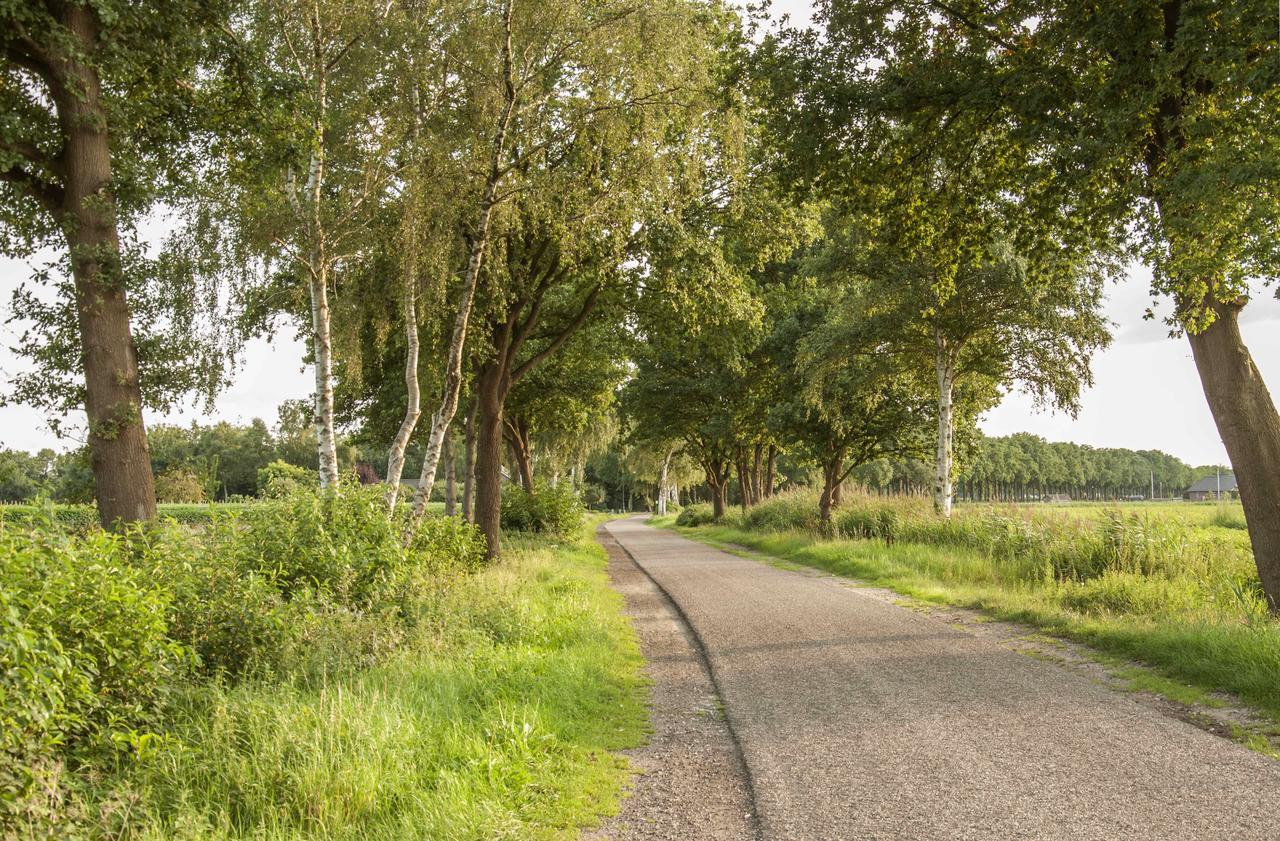 Bed & Breakfast Bed In Brabant Veghel B&B 외부 사진